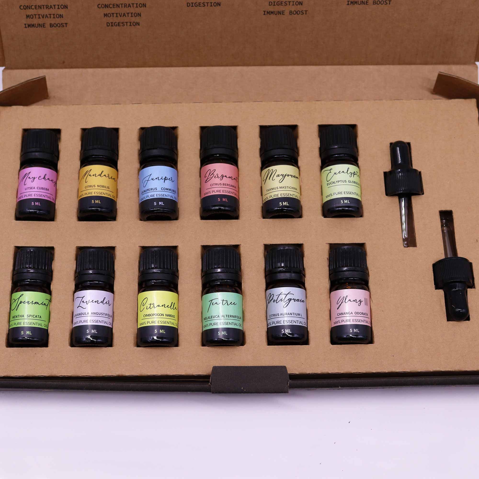 Set of small black bottles with colorful labels on a cardboard box