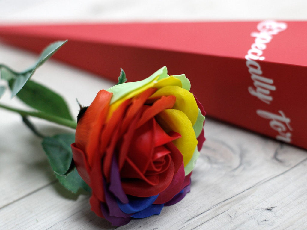 Rainbow-coloured rose on a wooden surface with a red box in the background.